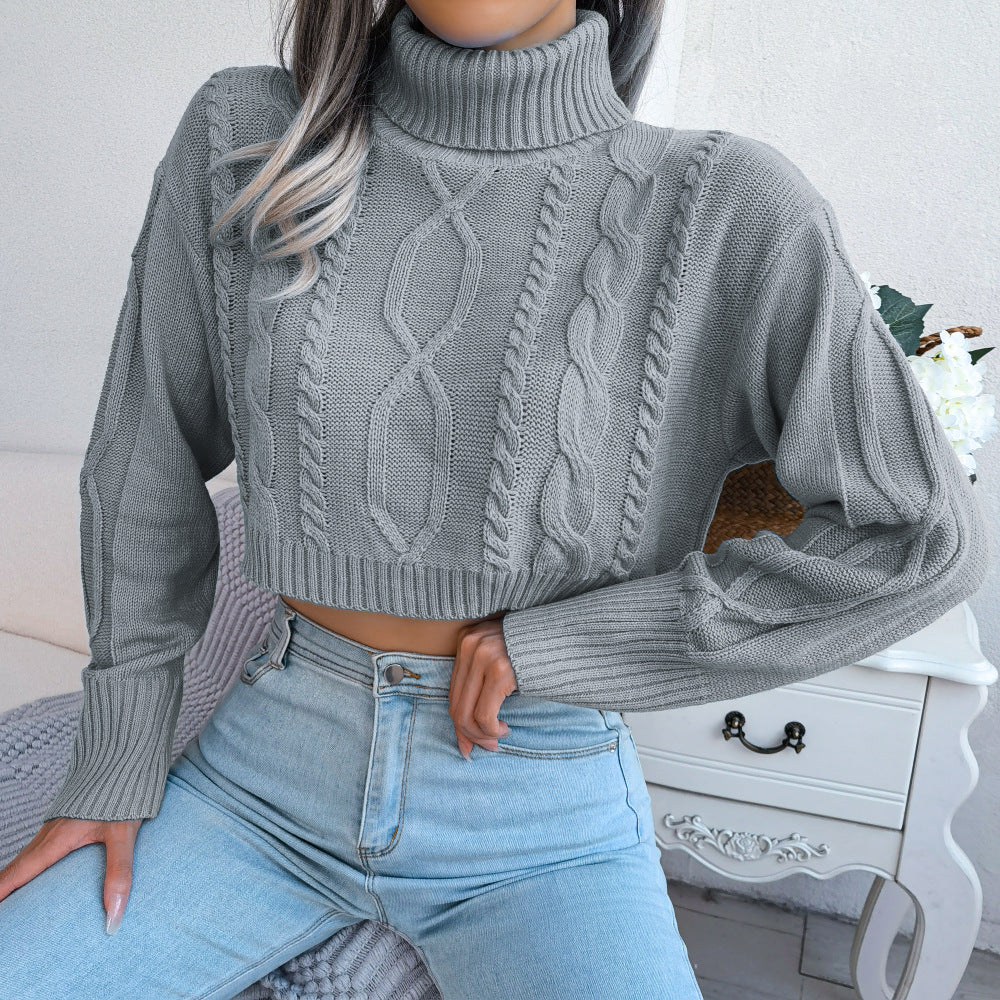 Turtleneck Cropped Sweater