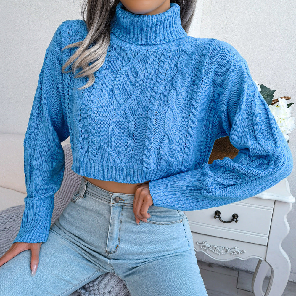 Turtleneck Cropped Sweater