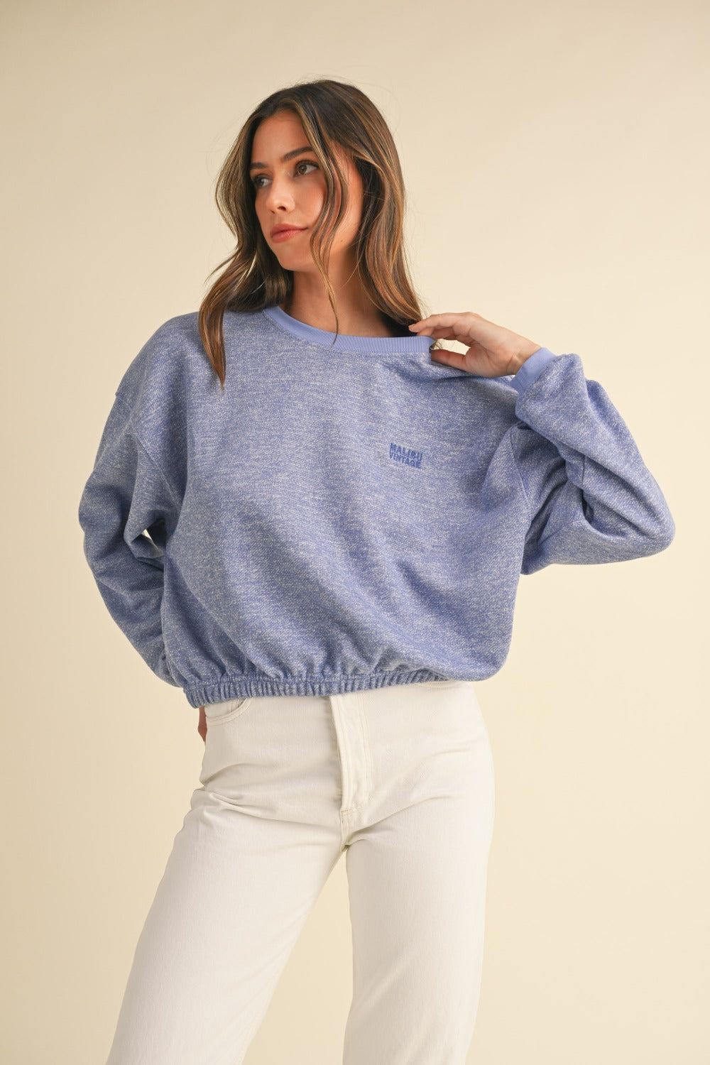 Malibu Vintage Embroidery Crop Sweatshirt