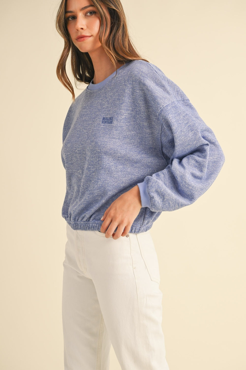 Malibu Vintage Embroidery Crop Sweatshirt
