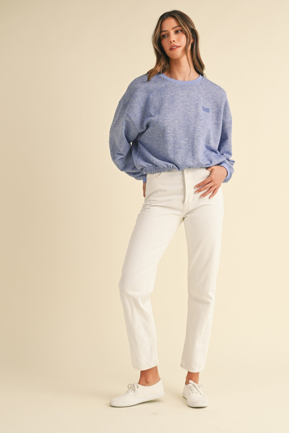 Malibu Vintage Embroidery Crop Sweatshirt